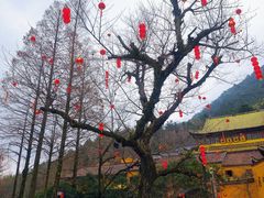 -九华山风景区
