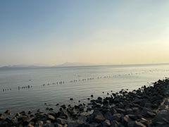 -深圳湾公园(南山区)
