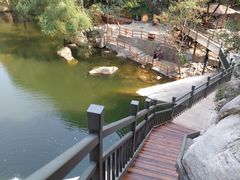 -黑龙潭风景区