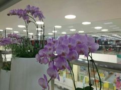 -优客城市奥莱