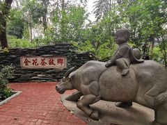 -金花茶公园