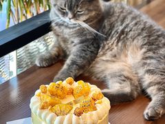 -B.O.M波姆烘焙(凤凰街店)