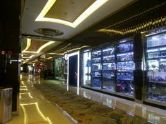 -UME影城(安贞DTS:X店)