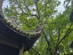 -惠山古镇·寄畅园