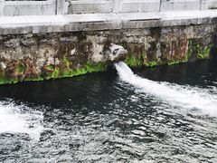 -济南大明湖景区
