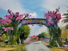 -天适樱花悠乐园