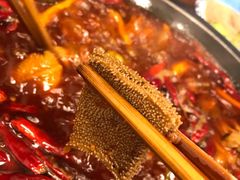 -黄潇洒老火锅(九眼桥宏济巷店)