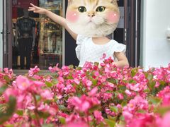 -枫叶小镇奥特莱斯
