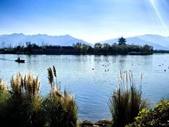 -溱湖国家湿地公园