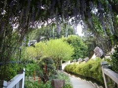 -乌山风景区