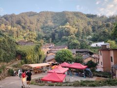 -杨家堂村