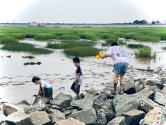 -南汇嘴观海公园