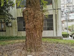 -上海市宝山区少年宫