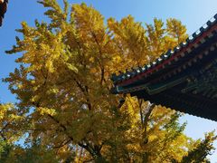 -香山公园