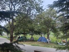 -灞河西岸滨河公园
