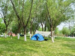 -永定河休闲森林公园