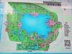 -莲花池公园