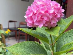 -又见炊烟．纳西小院云南菜