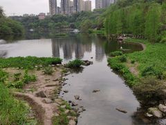 -重庆彩云湖湿地公园
