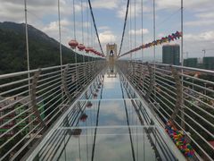 -客天下恐龙水晶玻璃桥