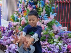-正佳雨林生态植物园