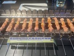 -很久以前羊肉串(朝阳路店)