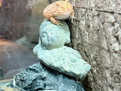 -重庆欢乐海底世界