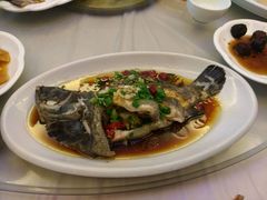-阳光海鲜大排档
