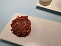 会飞的山楂-青山研究所Aoyama Lab