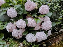 -众神白水涧景区