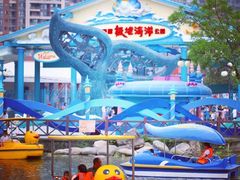 -海合安成都极地海洋公园