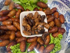 -鸽子窝(青塔店)