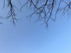 -Animate(工人体育场东路店)