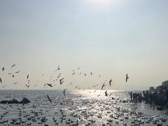 -深圳湾公园(南山区)