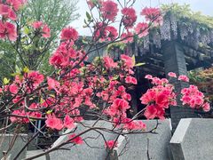 -临平公园(临平街道)