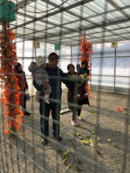 点击看大图 -萌宠亲子动物乐园(槐房万达店)