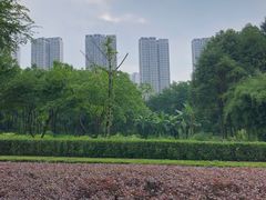 -重庆彩云湖湿地公园