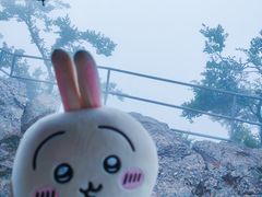 -紫金山山顶公园
