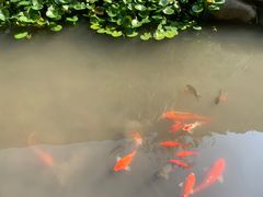 -中国湿地博物馆