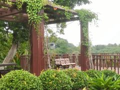 -东莞植物园