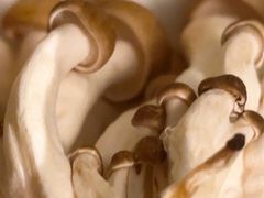 -润泽园椰子鸡(汇一城店)