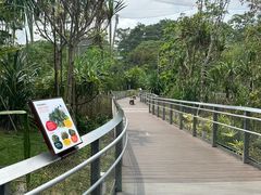 -新加坡飞禽公园