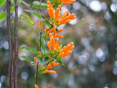 -桃花涧