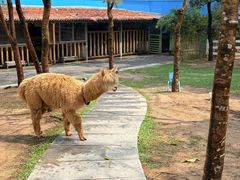 -云栖山谷露营地·团建年会·生日派对