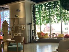 -藏猫猫咖啡主题馆(中央大道店)