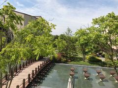 -上海崇明金茂凯悦酒店