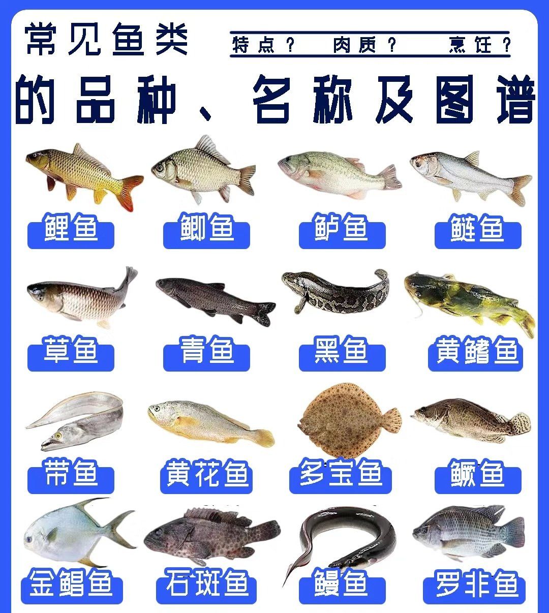 鱼的品种名称和食谱 清楚了