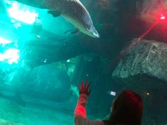 -华夏文旅海洋公园