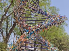 -北京麋鹿生态实验中心