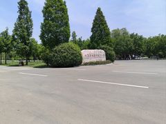 -微山湖红荷湿地景区